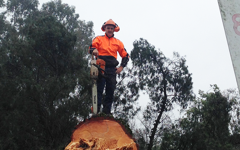 Out on a Limb Tree Services Tree Lopping, West Coast,Gippsland